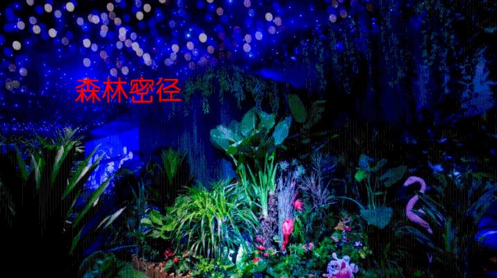 金沙9570(集团)股份有限公司